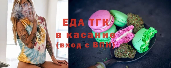 стаф Новокубанск