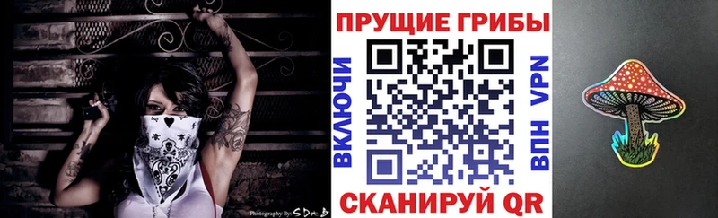 Галлюциногенные грибы мицелий  продажа наркотиков  Вязники 